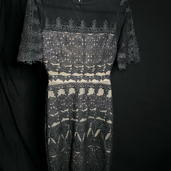 nicole miller CH 10047 - Picture 6 of 8